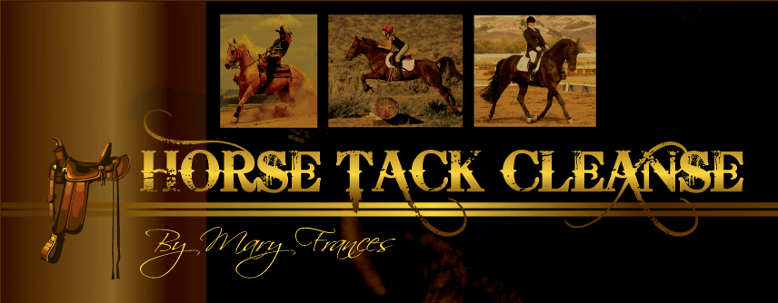 Horse tack Cleanse