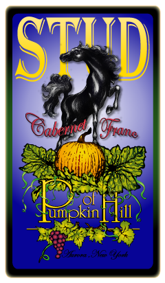 Pumpkin Hill's Stud